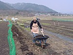 土づくり